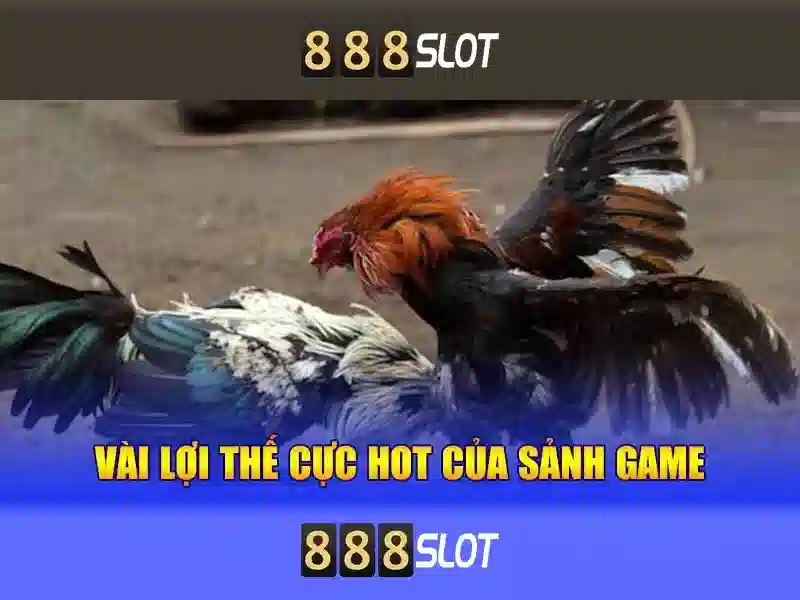 Giao diện và trải nghiệm người dùng\n