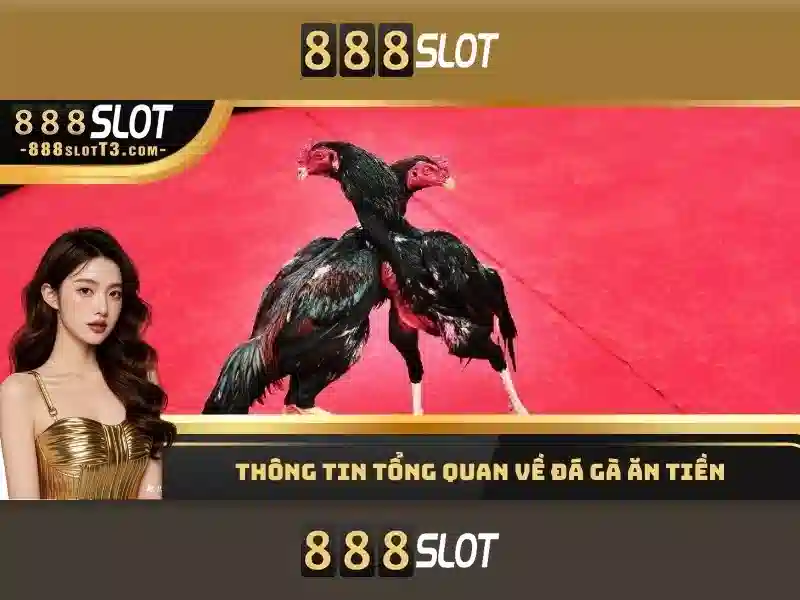 Góc nhìn về giao diện người dùng