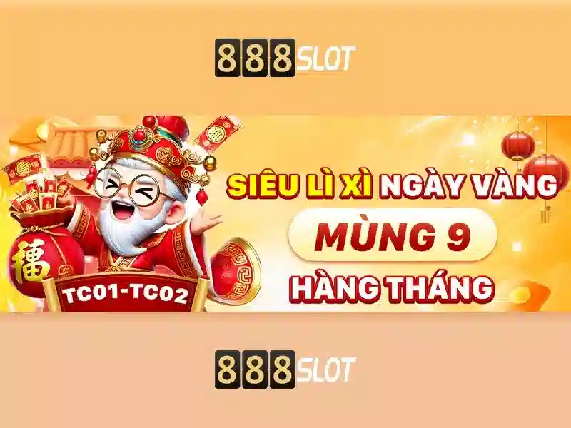 Lời khuyên và kết luận