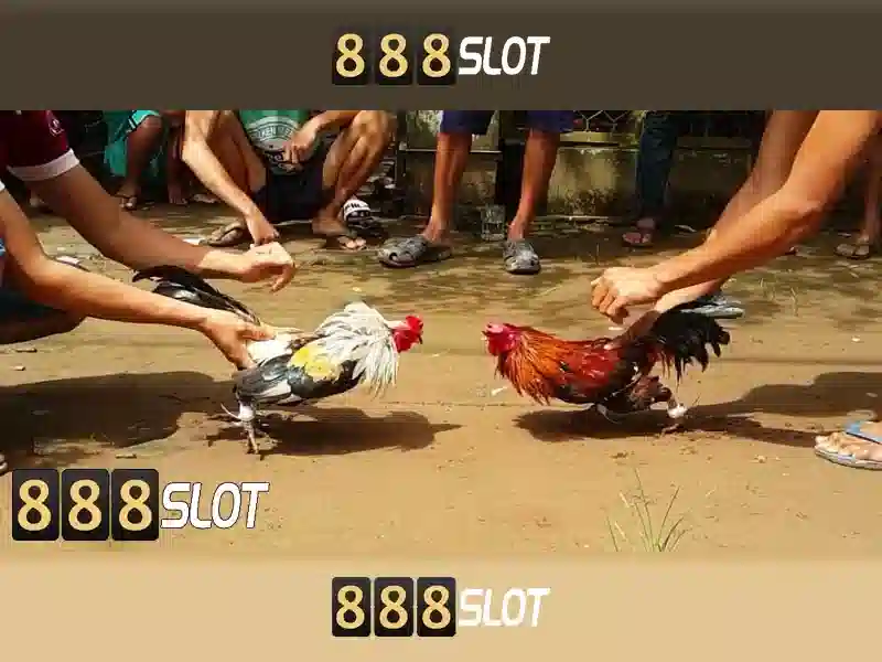 888slot - Nền tảng casino trực tuyến uy tín và slot hấp dẫn