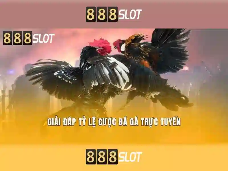 Đánh giá 888slot