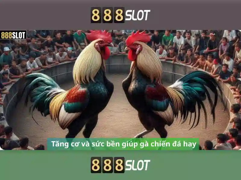 Khám phá 888slot
