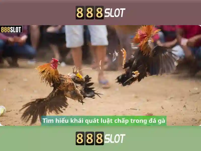 888slot – Nền tảng slot trực tuyến đáng tin cậy ở Việt Nam