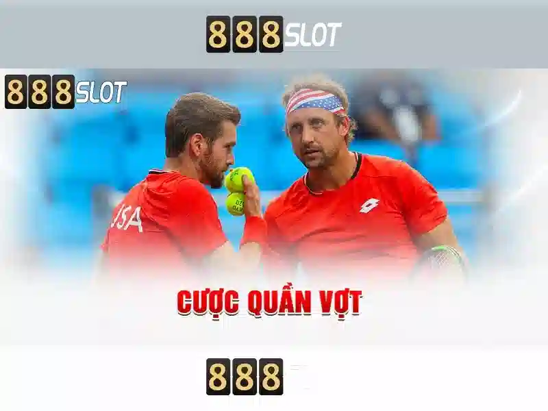 Hướng dẫn bắt đầu cho người mới