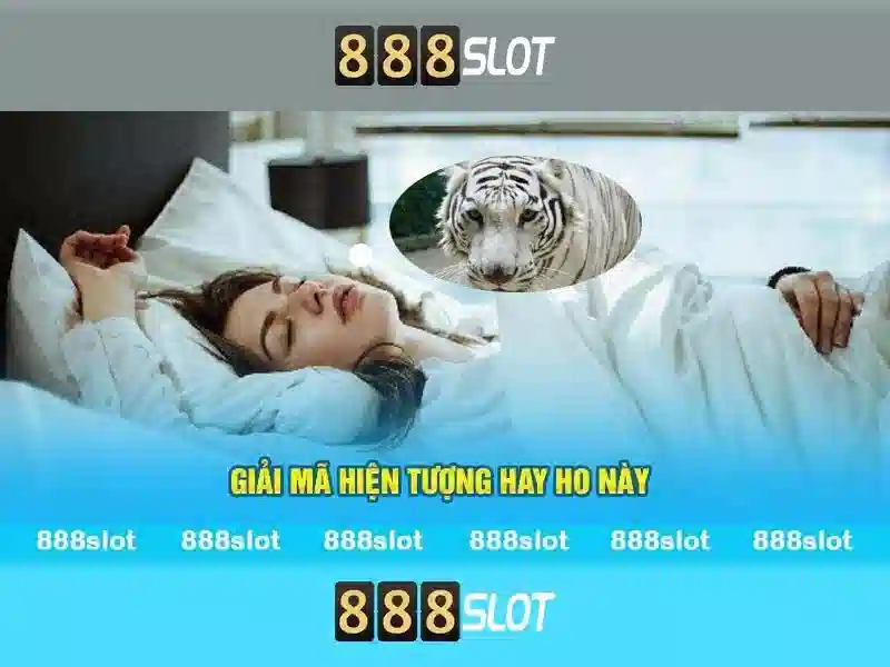 Trải nghiệm người dùng và trò chơi\n