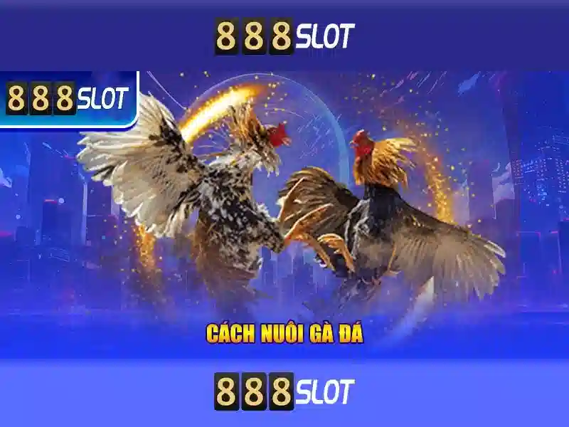 888slot – Trải nghiệm casino trực tuyến và máy xèng độc đáo
