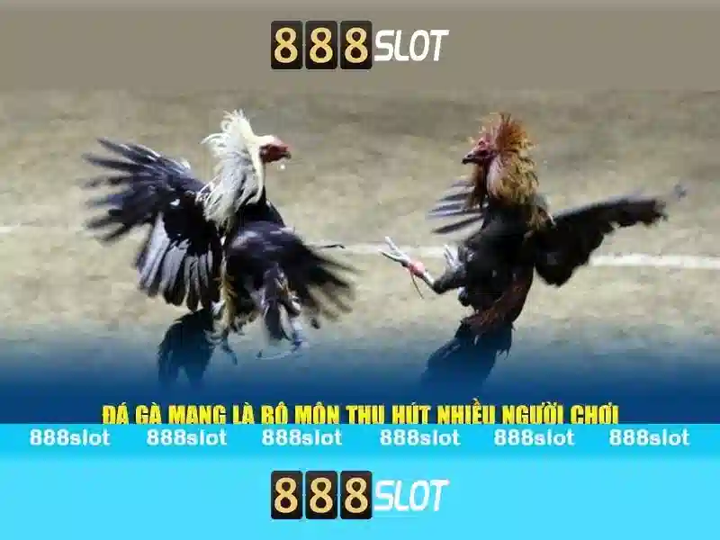888slot - Nền tảng slot trực tuyến an toàn và hấp dẫn