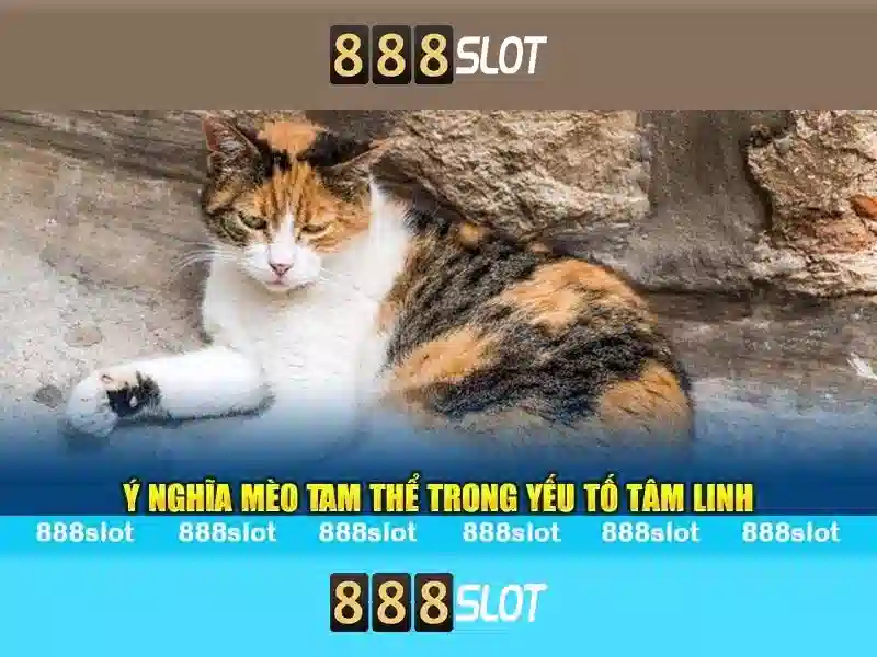 Hướng dẫn đăng ký và nạp tiền