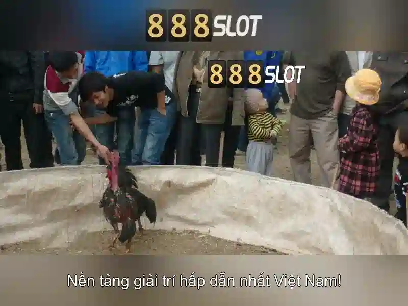 Tong quan 888slots seriös