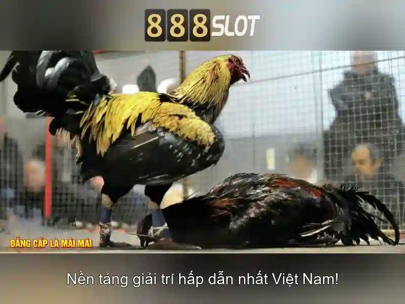 888slot: Nền tảng slot trực tuyến uy tín và đa dạng