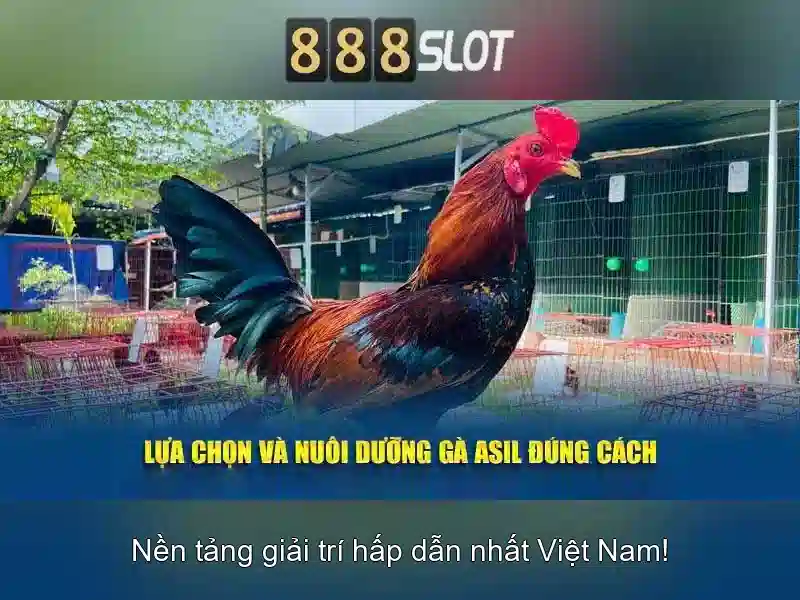 888slot: trải nghiệm slot trực tuyến đa dạng