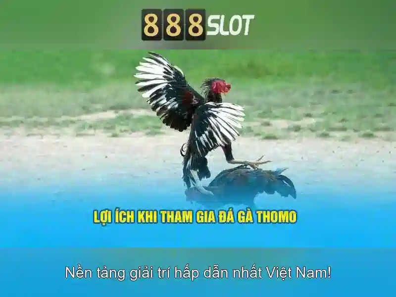 Giới thiệu về 888slot