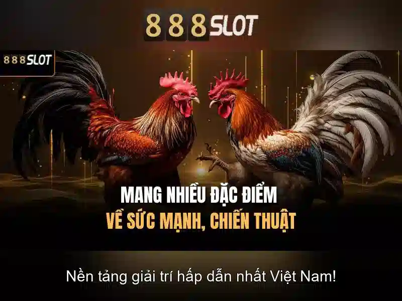 888slot - Đánh giá nền tảng slot trực tuyến tại Việt Nam