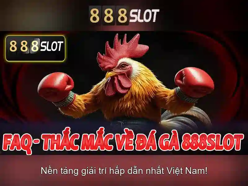 888slot - Tổng quan về nền tảng cá cược trực tuyến