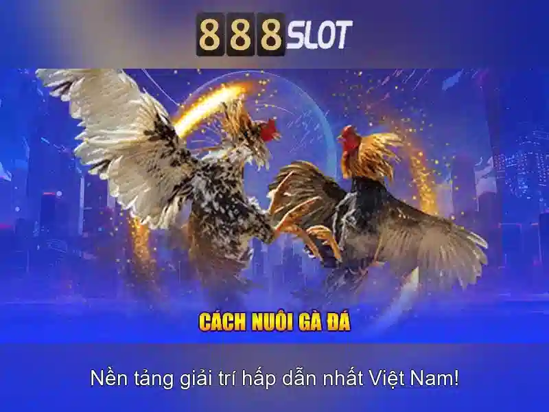 Khám phá 888slot - nền tảng trò chơi trực tuyến uy tín