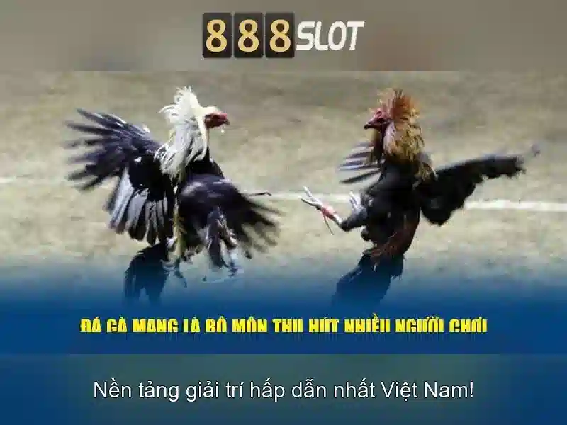 888slot: Trải nghiệm trò chơi slot đỉnh cao