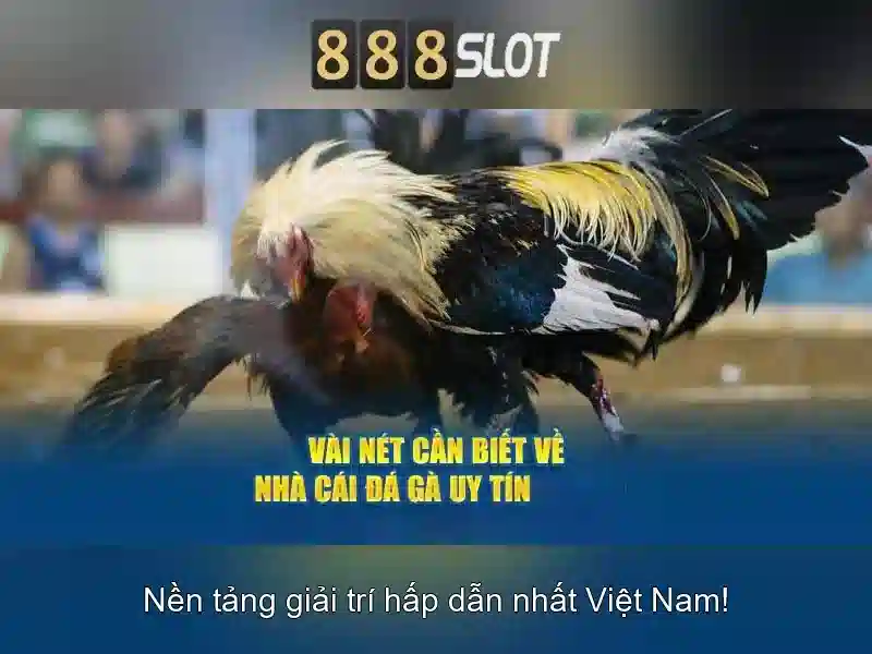 888slot - Nền tảng slot trực tuyến đáng tin cậy